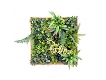 Panel farebných rastlín HARMONIA II (50x50cm)