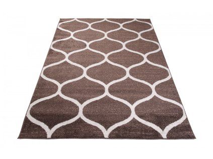 Koberec E665A HNEDÉ SÁRÍ