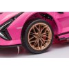 Lamborghini SIAN Ružové vozidlo