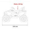 Terénne vozidlo HONDA Talon 4x4 čierne