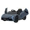 Auto Lamborghini Revuelto sivé