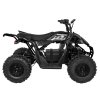 Štvorkolka DESERT STORM LIFT čierna