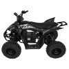 Štvorkolka DESERT STORM LIFT čierna