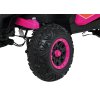 Madman UTV-MX Buggy Pink