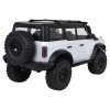 R/C WILDERNESS auto 1:10 Biele