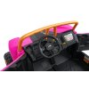 Arctic Cat WILDCAT XX Buggy Pink