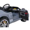 Auto Ford GT sivé