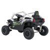 Buggy Kawasaki TERYX KRX1000 sivé