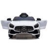 Mercedes GTR batérie auto biela