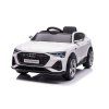Audi E-Tron batéria do auta biela QLS-6688