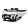 Audi E-Tron batéria do auta biela QLS-6688
