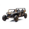 Batéria Buggy A033 4x4 24V Gold