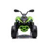 CAN-AM Renegate Green Battery Quad