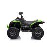 CAN-AM Renegate Green Battery Quad