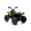 CAN-AM Renegate Green Battery Quad