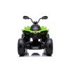 CAN-AM Renegate Green Battery Quad