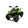 CAN-AM Renegate Green Battery Quad