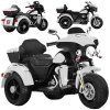 Veľký akumulátorový motorkový chopper pre deti PA0254