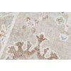 Koberec SL47B SHRNIK CREAM TREND QBS
