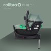 Autosedačka Colibro Petit Pro Pine