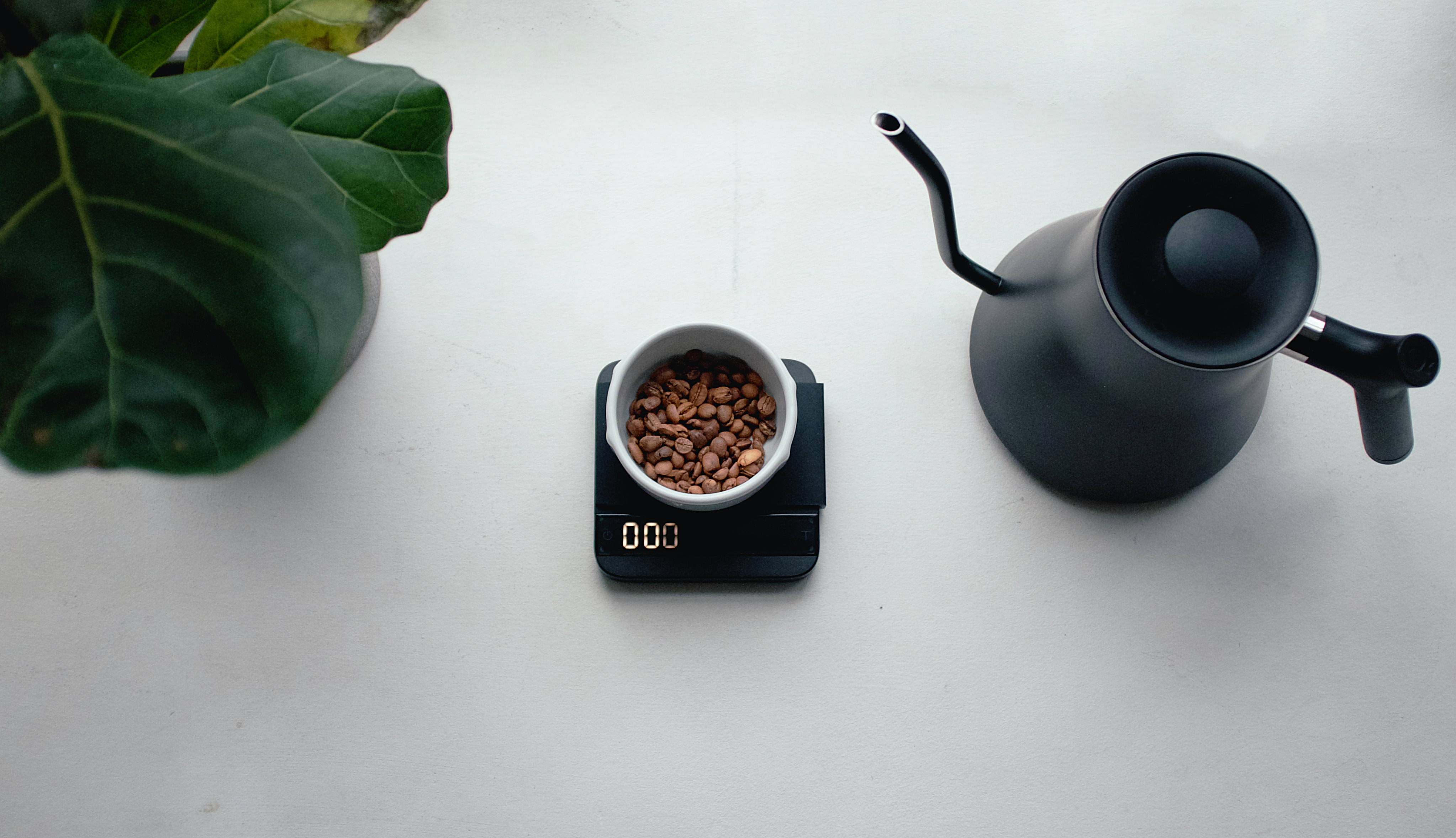 Objavte svet Specialty Coffee