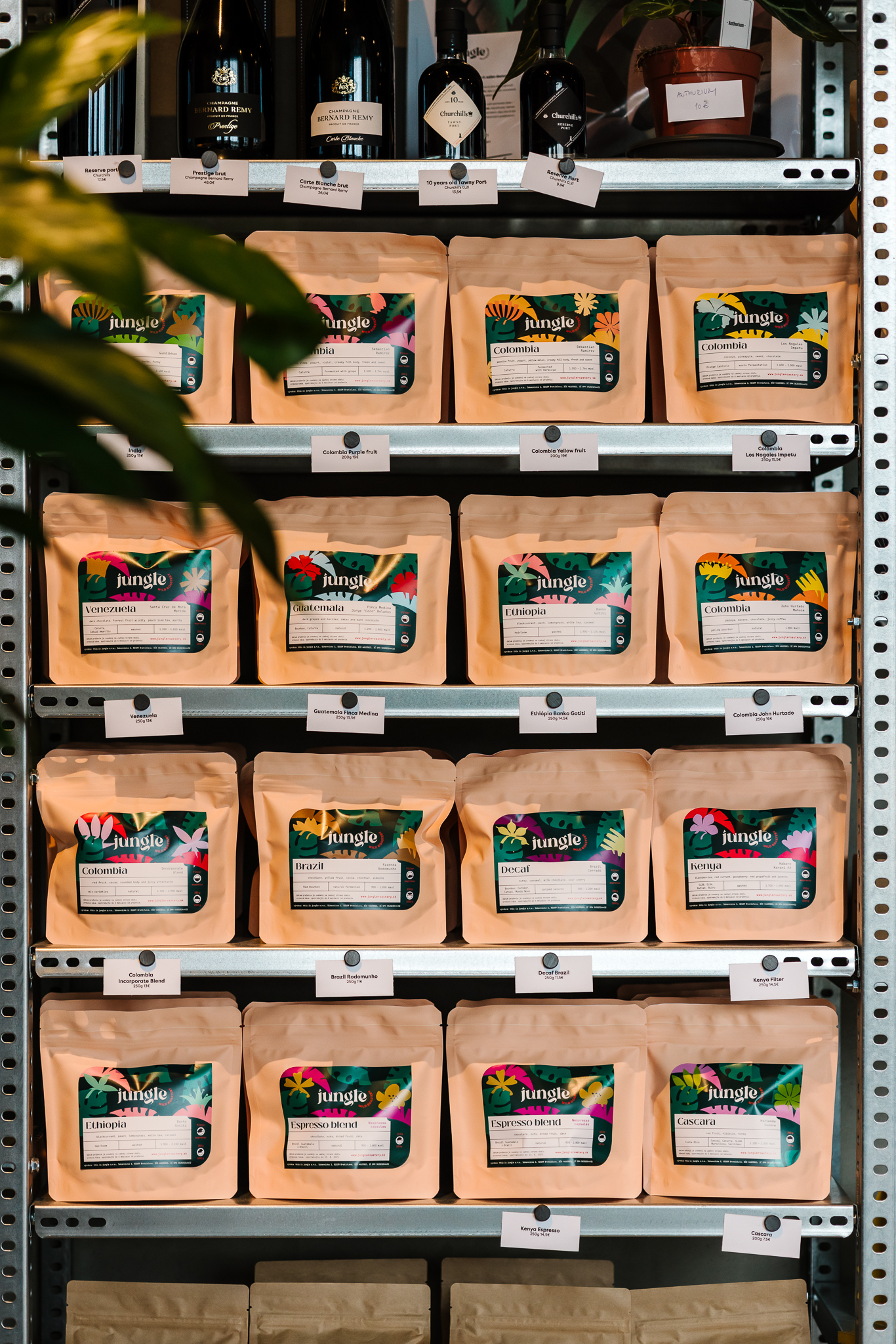 jungle_mood_februar-7