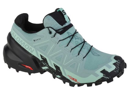 Salomon Speedcross 6 GTX W 417435 (Velikost 38 2/3)