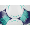 Select Tempo TB FIFA Basic V26 Ball 110055 (Velikost 5)