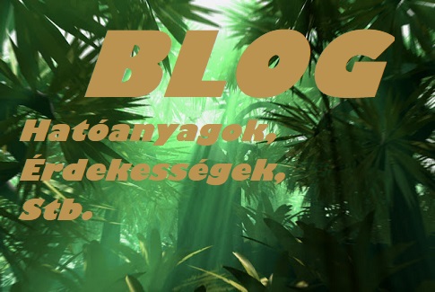 Blog