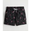 Hollister černé koupací kraťasy s potiskem