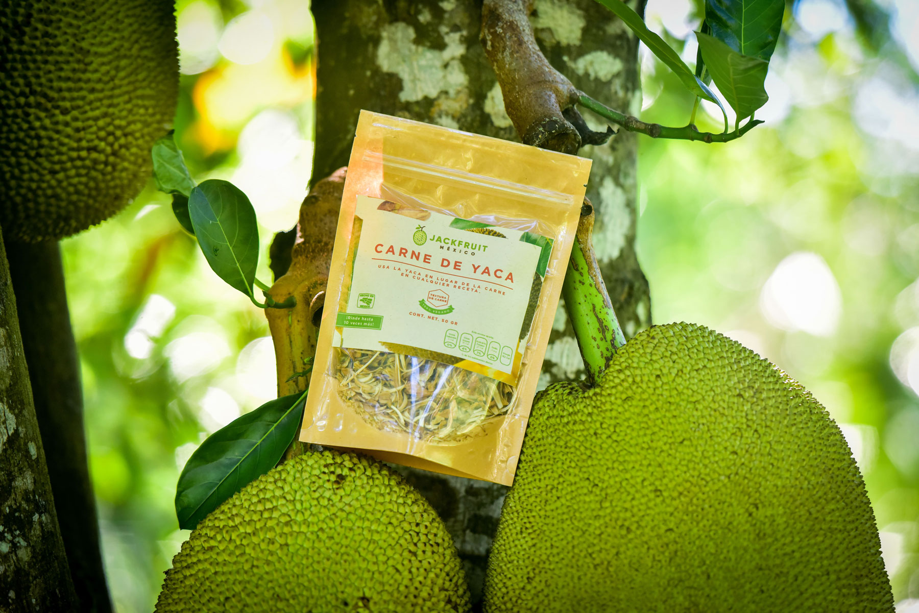 Proč zvolit dehydratovaný jackfruit místo jackfruitu v konzervě?