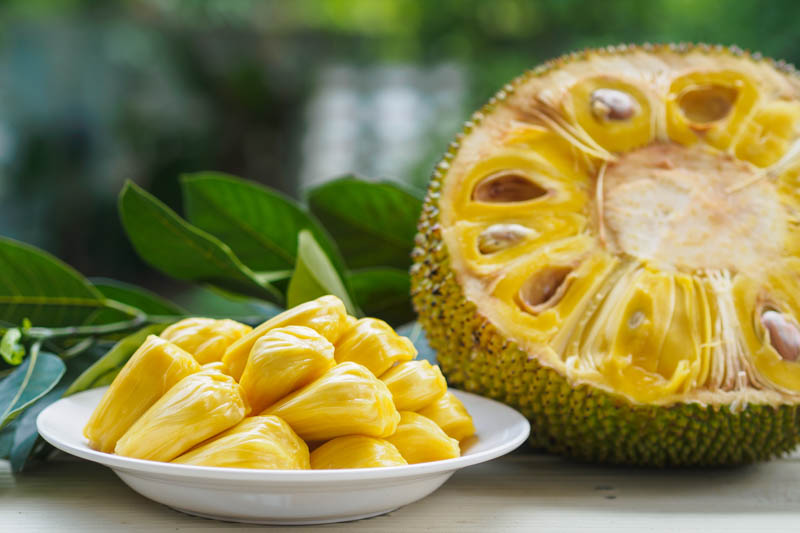 Tajemství jackfruitu podle staré ajurvédy