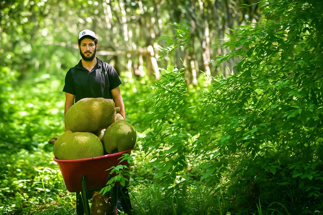 Chuť mexického slunce na vašem stole v Česku