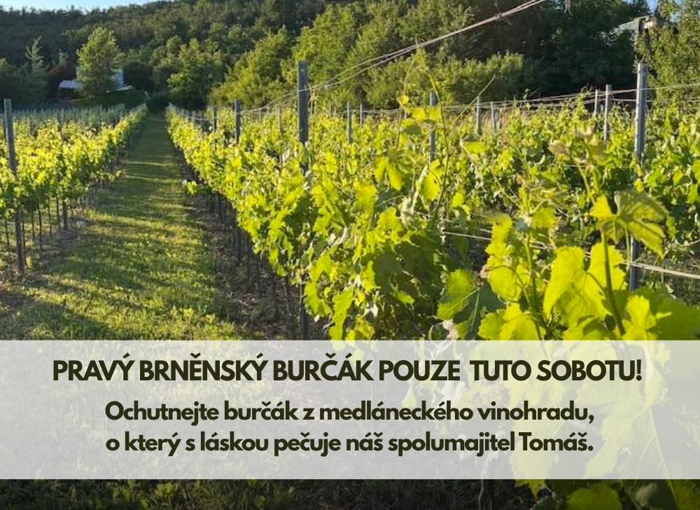 Pravý brněnský burčák je tady! Brněnský burčák z Muškátu moravského: tuto sobotu v justWINE