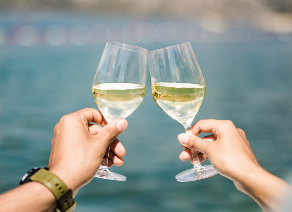Ideální víno na dovolenou: Sbalte partu, rodinu, a to nej z justWINE!