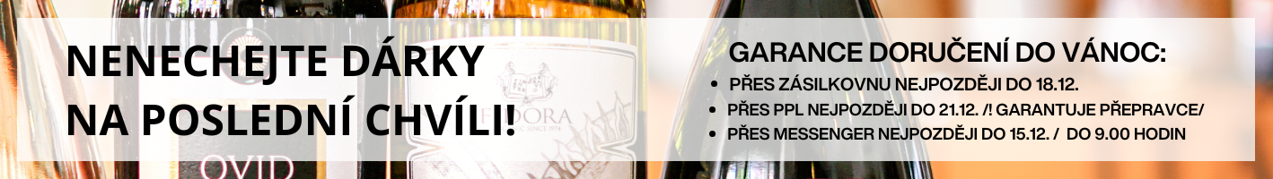 DORUČENÍ DO VÁNOC