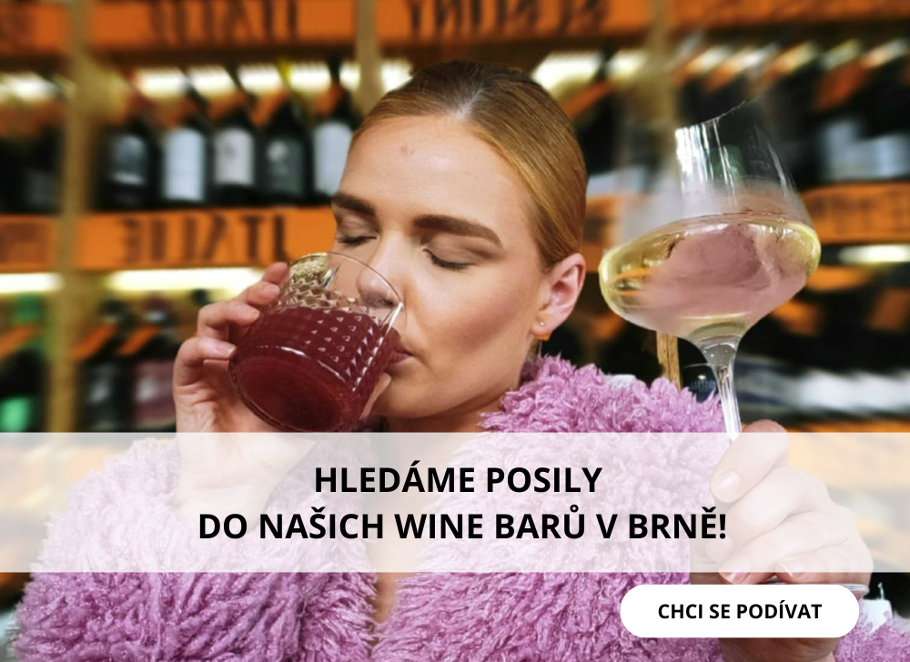 HLEDÁME DO TÝMU