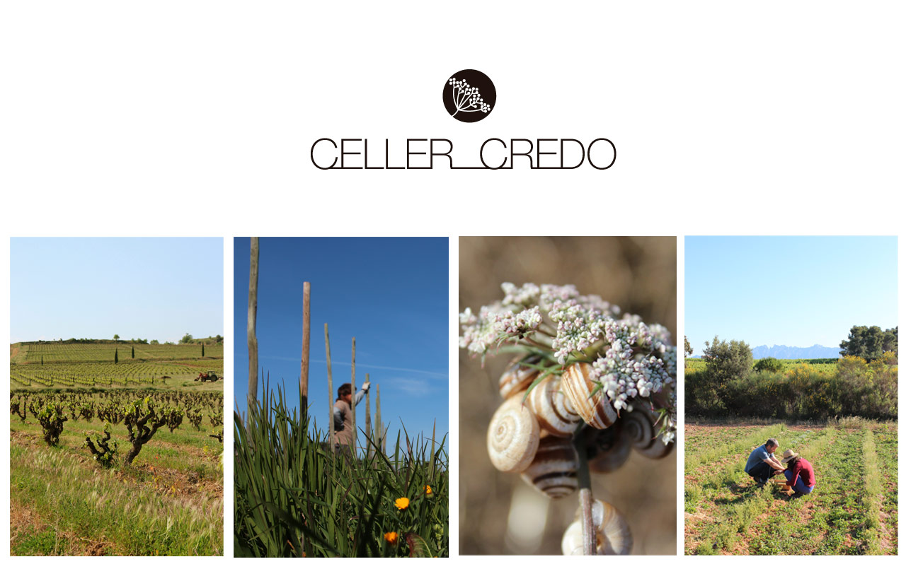 Celler_Credo