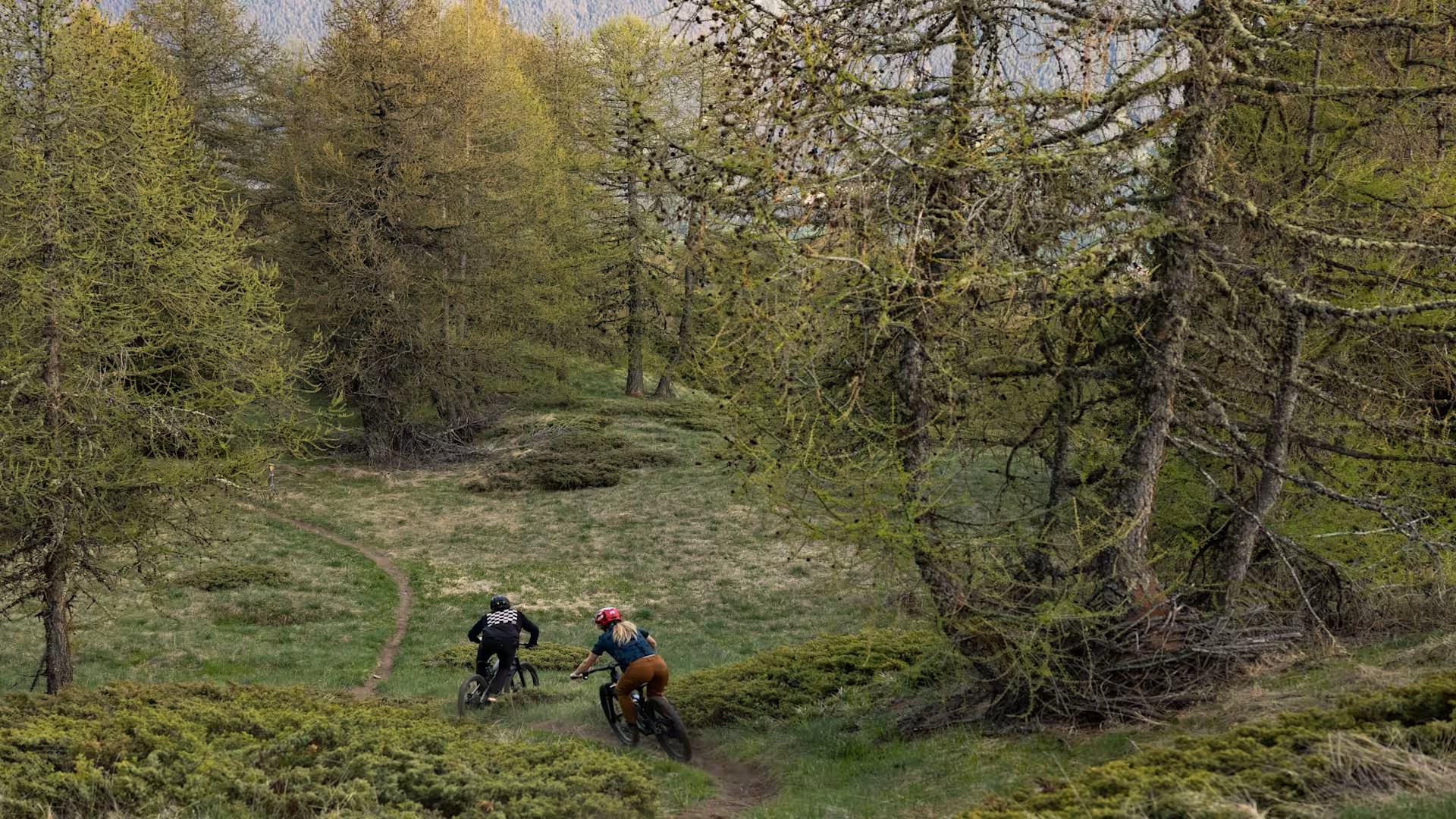 MTB_OverviewId_7_16_24