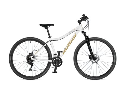 ua42969311 vertigo asl