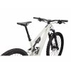 96824 55 LEVO SL COMP CARBON BRCH WHTMTN D1 POV