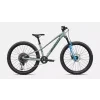 96527 50 RIPROCK COMP 24 AGVE OAKGRNMET HERO PDP