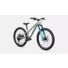 96527 50 RIPROCK COMP 24 AGVE OAKGRNMET FDSQ