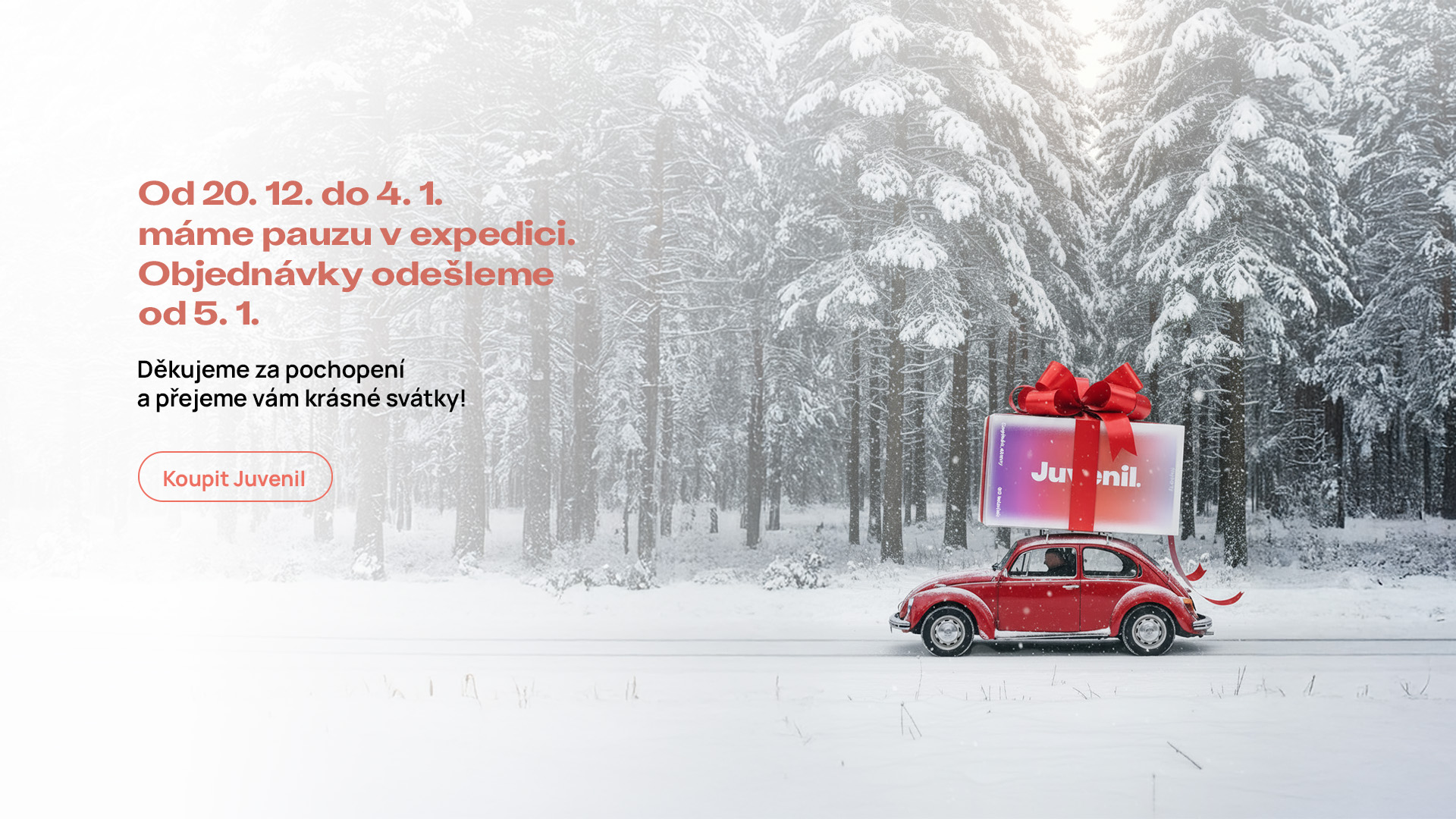 Doručení Vánoce 25 Desktop