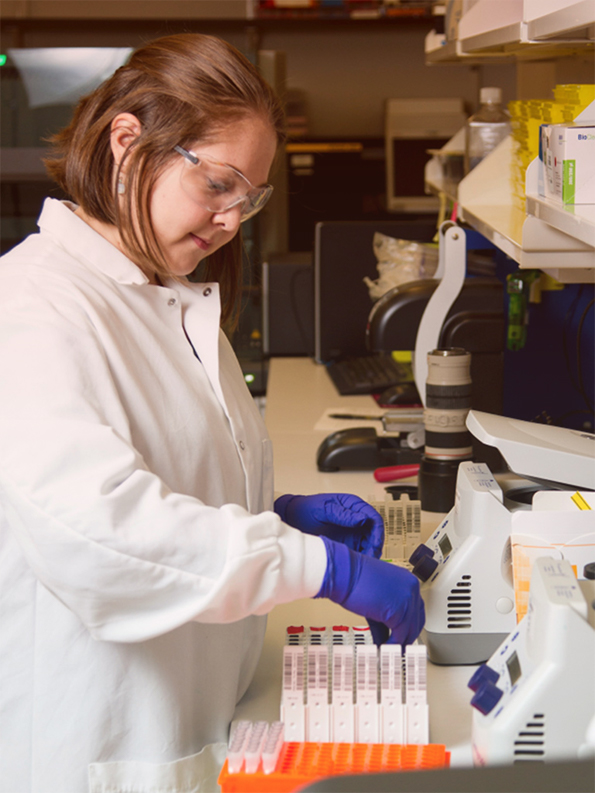 laboratory-work