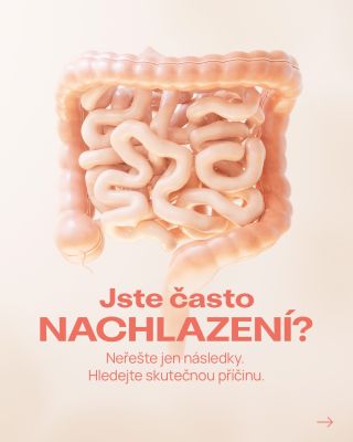 🤧 Časté nachlazení nemusí znamenat „narušenou imunitu“. Velmi často souvisí jen s nerovnováhou střevního mikrobiomu....