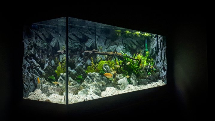 Revitalizace akvária Juwel Rio 180