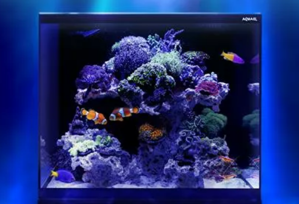 Proměňte svůj interiér v oceánské království s řadou Aquael Glossy