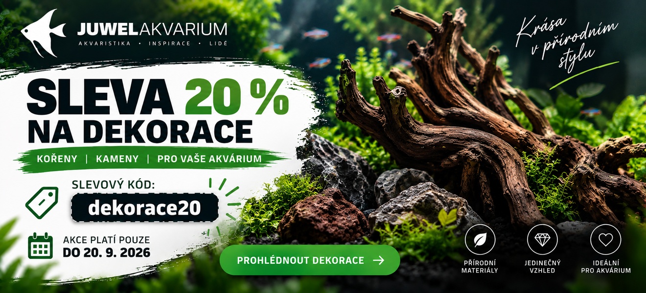 Dekorace 20