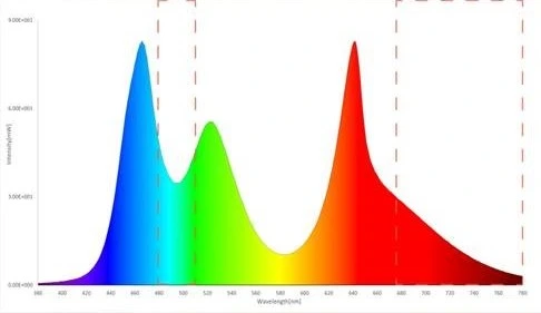 Spektrum